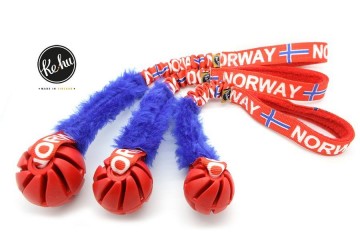 Ke-Hu Norway