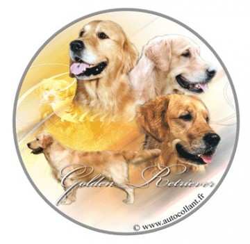 golden retriever pris golden retriever waggytail det beste av det beste til hund og katt golden retriever pris golden retriever waggytail det beste av det beste til hund og katt