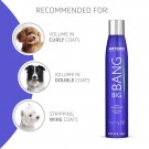 Artero Big Bang Volumizing Spray thumbnail