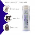 Artero Blanc Shampoo 5 L thumbnail