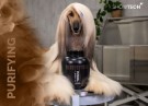 Show Tech+ Timaha Clay Shampoo 1 L thumbnail