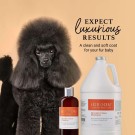 iGoom Squeaky Clean Shampoo 3,8 L thumbnail