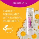 Artero Vitalizante Shampoo 250 ml thumbnail