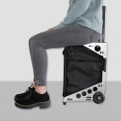 Artero Trolley-Chair Case thumbnail